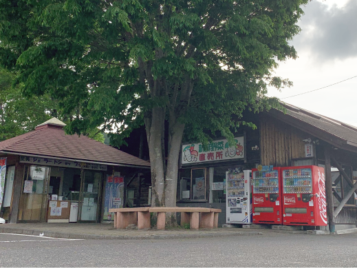 産直センター 里美生産物直売所