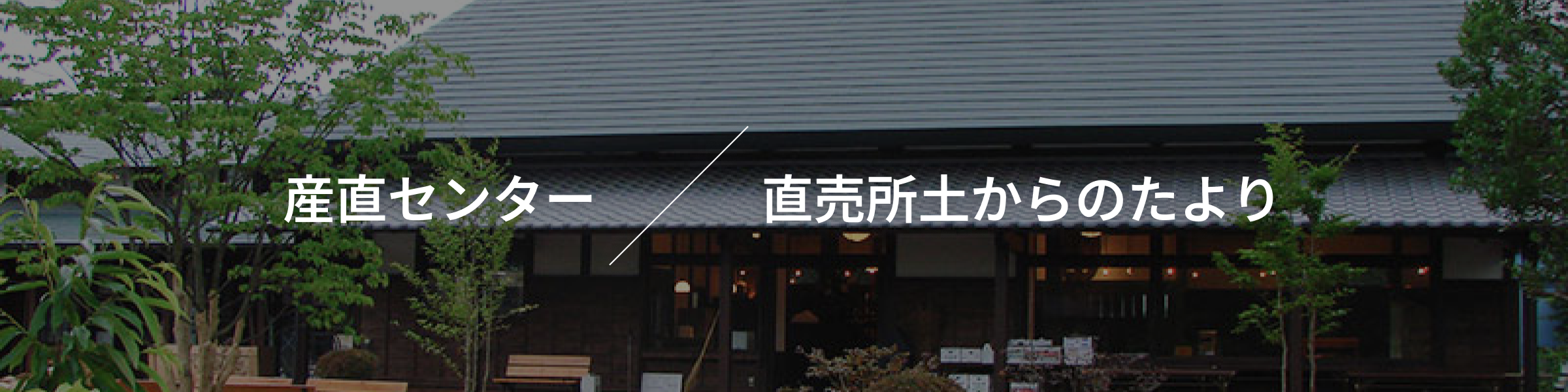 産直センター 直売所 土からのたより