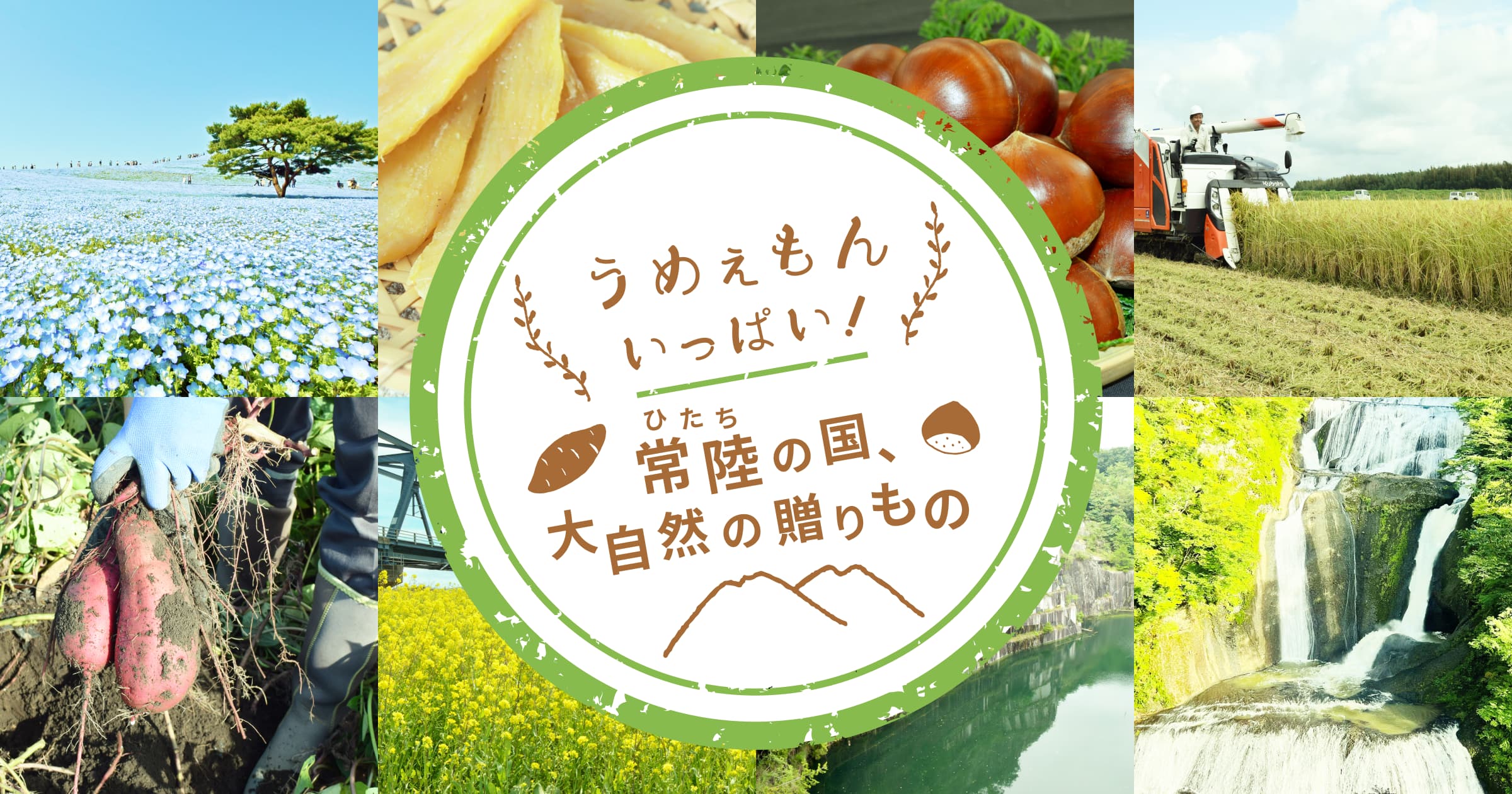 東海ファーマーズマーケット にじのなか | 茨城の名産品の産直お